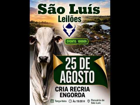 São Luís de Montes Belos - GO   25/08/2026