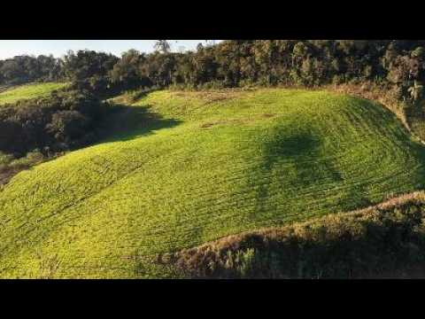Chácara de 4,5 hectares a venda em São Miguel da Boa Vista, Santa Catarina.