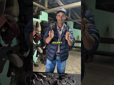 Pourquoi les cow-boys utilisent vraiment des éperons