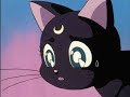 Sailor Moon Sleeps On Luna