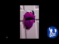 Elmo Smashes Through Door Effects Preview 2 Funny 2022 69 Effects