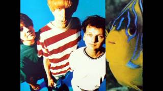 Velvet Crush - Ash & Earth