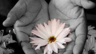 The Starting Line - Island (Float Away)