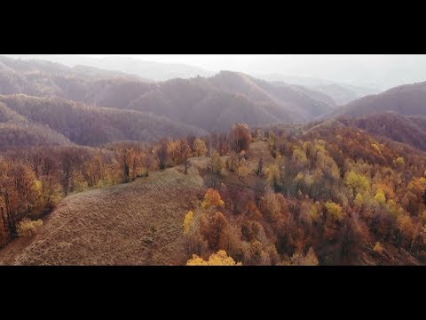 Îl cunoaştem pe Gheorghe, singurul locuitor din cătunul Preveciori, la Izolaţi în România, pe TVR1