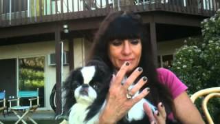 Two Jews On Anchorman 2 The Legend Continues