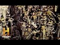 RAGING LOCUST SUPER SWARM | Countdown to Armageddon