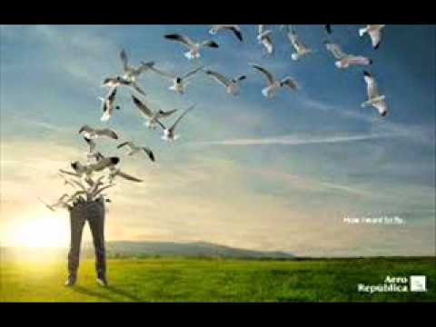 Salıncaklar - Haluk Levent