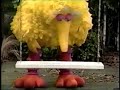 Sesame Street Scenes From Episode 3551