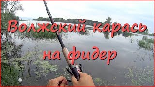 Ловля карася на кормак в июле