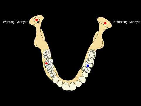 Eccentric mandibular movements (Lateral & Protrusive Movements)