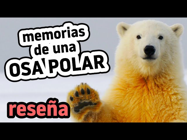 Vídeo relacionado con Memorias de una osa polar: 969 (Panorama de narrativas)
