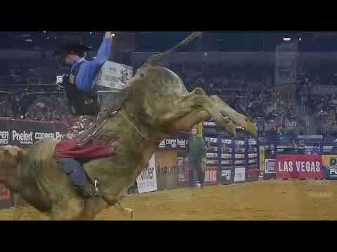 Homenagem à todos os Peões de Barretos - Protetora Nossa Senhora Aparecida