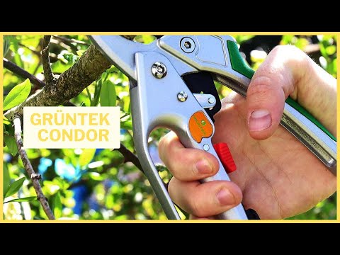 GRÜNTEK Condor : mon test du sécateur haute précision