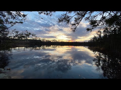 SVARTA LEDEN (Stocksmyr Brännan) SMÅLAND 20241227