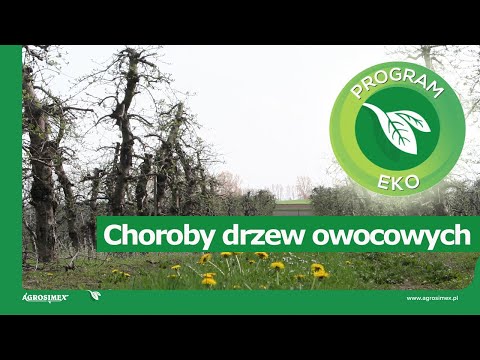 Ekologiczne sadownictwo - ochrona przed chorobami
