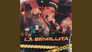 La Semillita