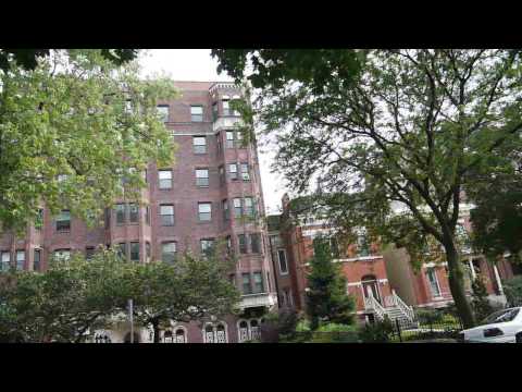 Lino in Lincoln Park: On Deming Place Lino in Lincoln Park: On Deming Place
