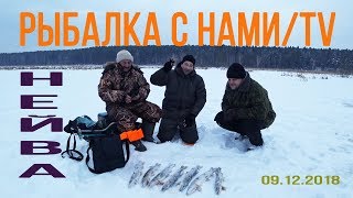 Река ница свердловская область рыбалка 2020