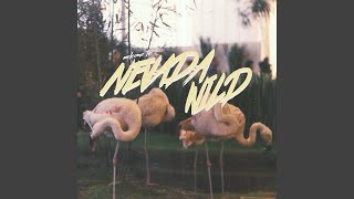 Never Wanted Your Love