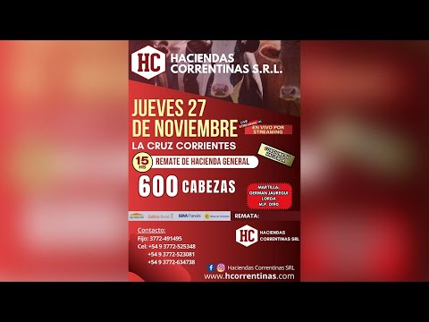 REMATE DE HACIENDA GENERAL JUEVES  27 DE NOVIEMBRE DE 2025
