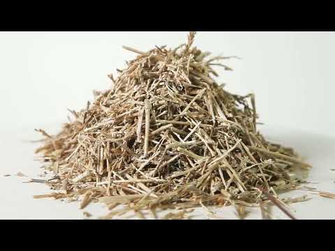 Солянка холмовая купить в аптеке травника Кайгородова - Полезные травы ...