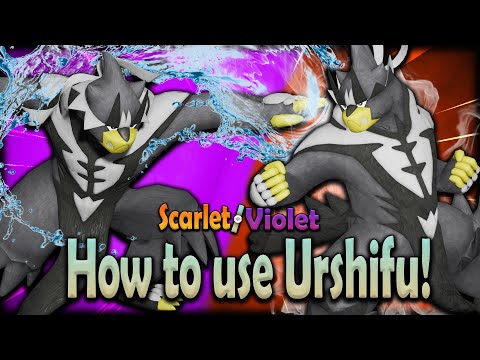 Click to play Video