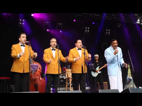 Tommy Hunt & His new Flamingo's - Feel the 50's festival Venlo - August 31st, 2014.