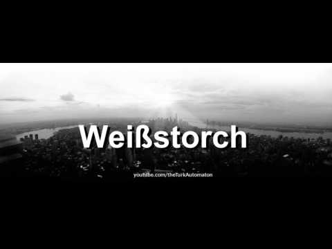 How to pronounce Weißstorch in German - Perfectly