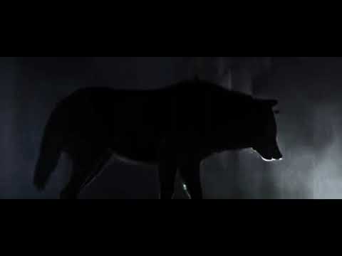 nilo x aymi - milion myśli