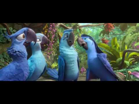 Rio 2 música (você chegou)