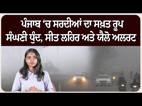 ਪੰਜਾਬ ‘ਚ ਸਰਦੀਆਂ ਦਾ ਸਖ਼ਤ ਰੂਪ | ਸੰਘਣੀ ਧੁੰਦ, ਸੀਤ ਲਹਿਰ ਅਤੇ ਯੈਲੋ ਅਲਰਟ