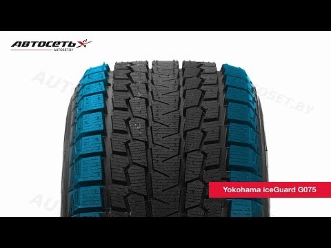 Yokohama IceGuard G075 Winter Tire Review ● Autonet ●
