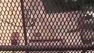 Nymphs &quot;Imitating Angels&quot;