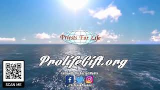 PFL-Daily Scripture Reading and Reflection: Christmas Initiates Our Spiritual Journey - Jan. 3, 2025