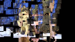 Neal Schon - Call Of The Wild