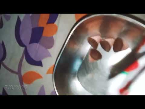 my first Meiji chocolate