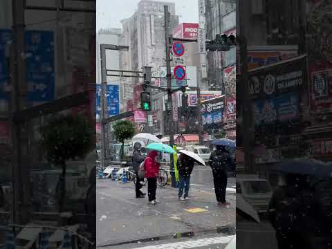 日本上野-三月雪！