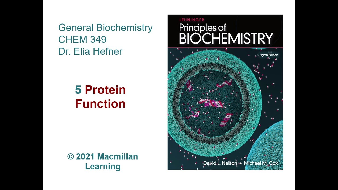 Chapter 5 - Protein Function (Sections 5.1 & 5.2)