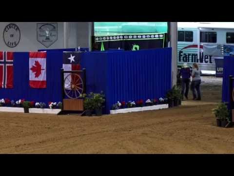 Gunners Tinseltown ridden by Sam Schaffhauser  2015 NRBC Open Finals