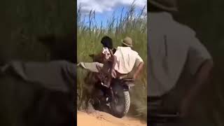 Download lagu #fidio lucu belajar naik motor selalu ugal ugalan # mp3