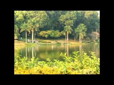 UMI HAMMER Test incroyable -MT6732 2GB/16GB  Ecran HD de 5.0"