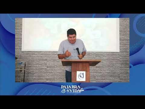 Conexión con la Biblia, Salmo 119:97-104