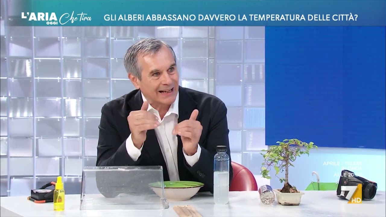 Gli alberi abbassano davvero la temperatura delle città? L'esperimento del fisico Valerio ...