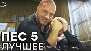 Сериал ПЕС - 5 сезон - 1, 2, 3 серия - ВСЕ СЕРИИ смотреть онлайн | ЛУЧШИЕ МОМЕНТЫ