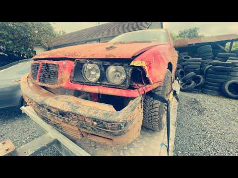 Kecel 2022.08.06 Mocskos Állatok 1.