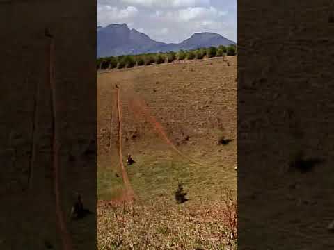 trileiros de Santa Margarida mg