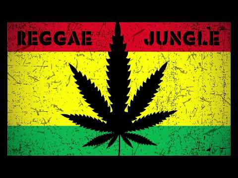 Dark Reggae Vocal Jungle Drum & Bass Mix #3 New 2021 Ed Solo / Benny Page / Deekline