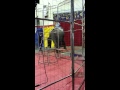 Emily Riding An Elephant At The Circus