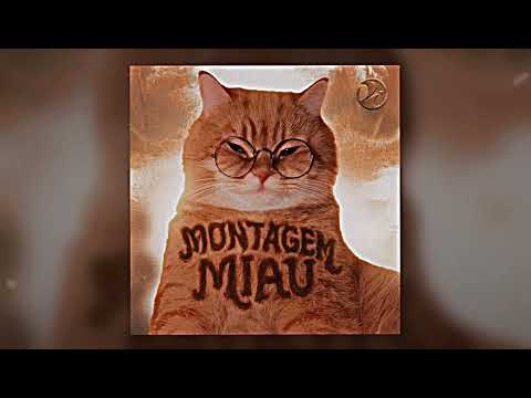 MONTAGEM MIAU | (1 Hour)