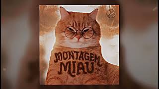Download lagu MONTAGEM MIAU | (1 Hour) mp3 Download lagu MONTAGEM MIAU | (1 Hour) mp3